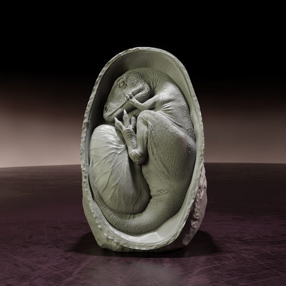 3D Crafted Dino Embryo Egg - 3D Printed and Dino Embryo Egg Statue