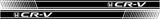 Custom Design Your Own Side Stripes Porsche Style Side Stripes - Black and Dark Color Stripes Complete Sets