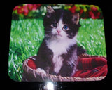Design Your Own Custom Photo Mouse Pad